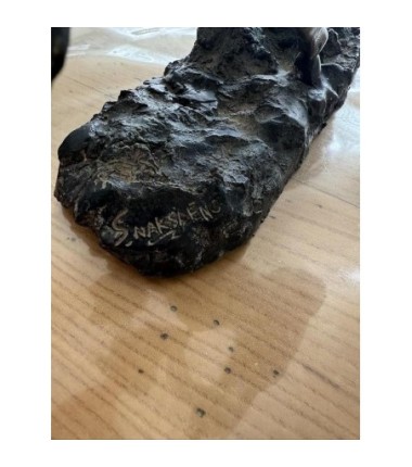 MAGNIFIQUE CHEVAL EN BRONZE SIGNER S . NAKSAENG 30 CM DE HAUT PAR 35 CM DE LARGE PIECES RARE A SAISI